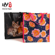 Advertisement recycled cheap china used bopp laminated eco green woven pp bag